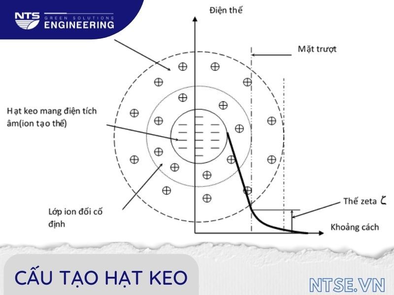 Cau-tao-hat-keo