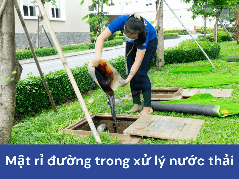 Mat-ri-dung-trong-xlnt