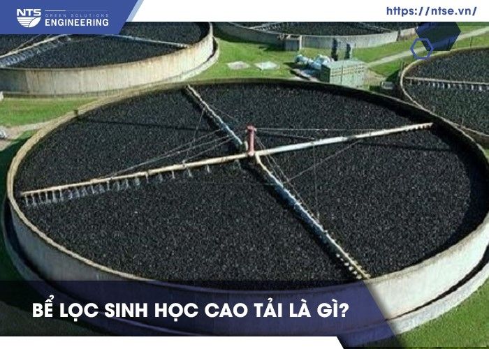 be-loc-sinh-hoc-cao-tai-1