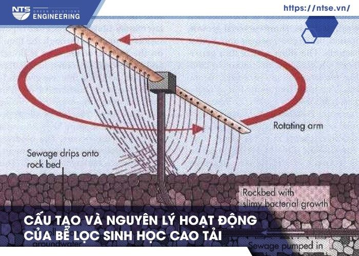 be-loc-sinh-hoc-cao-tai-2