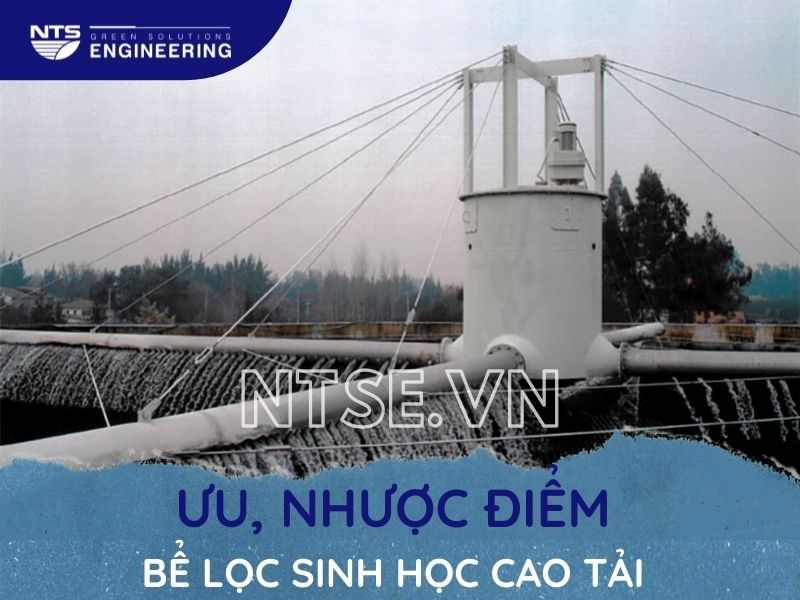 be-loc-sinh-hoc-cao-tai-3