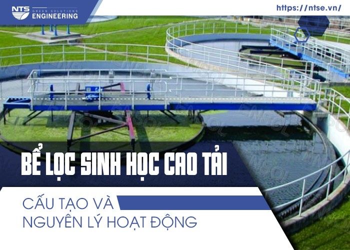 be-loc-sinh-hoc-cao-tai
