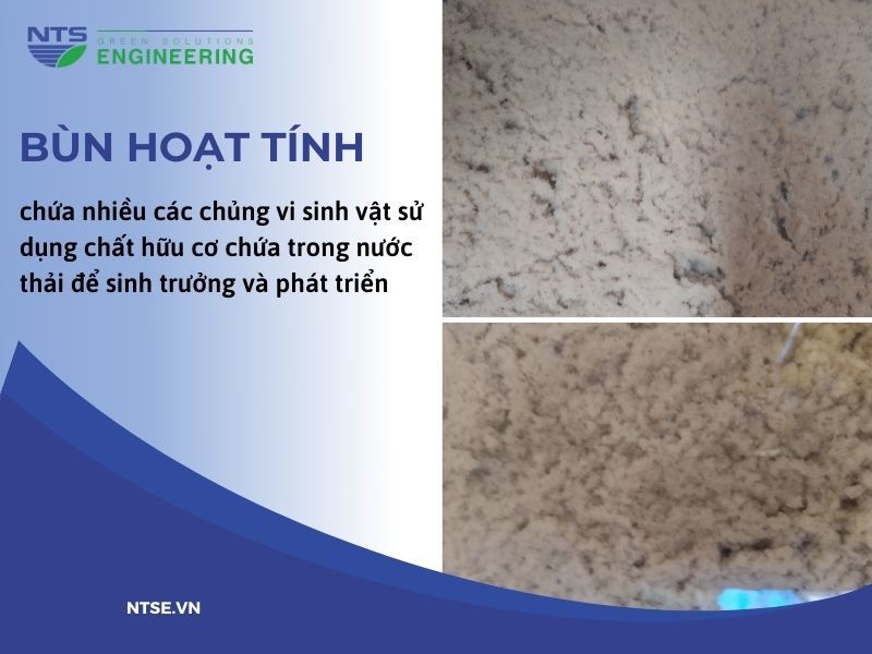 bun-hoat-tinh-trong-xu-ly-nuoc-thai-1