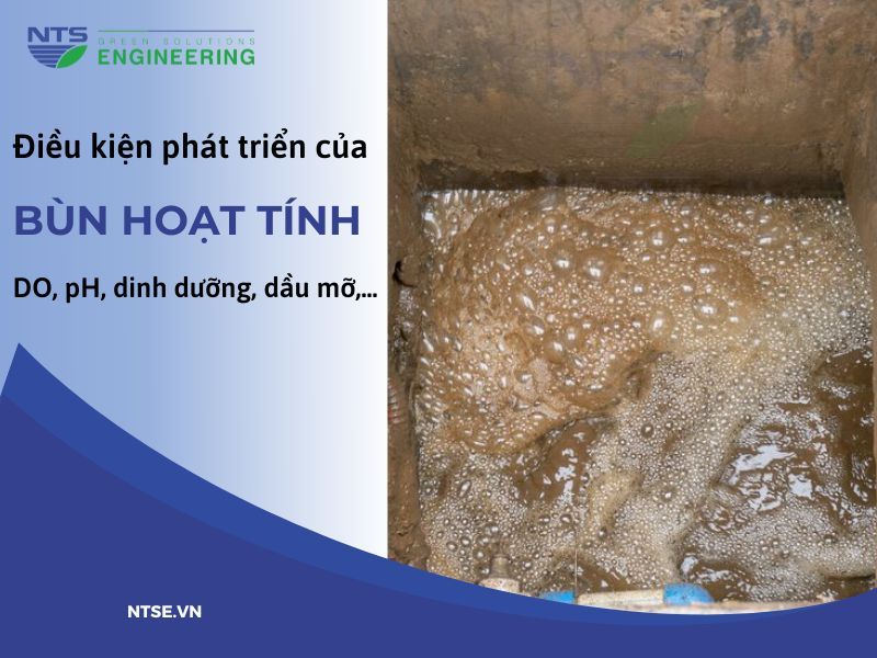 bun-hoat-tinh-trong-xu-ly-nuoc-thai-3