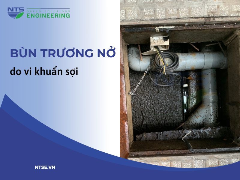 bun-truong-no-do-vi-khuan-soi-1