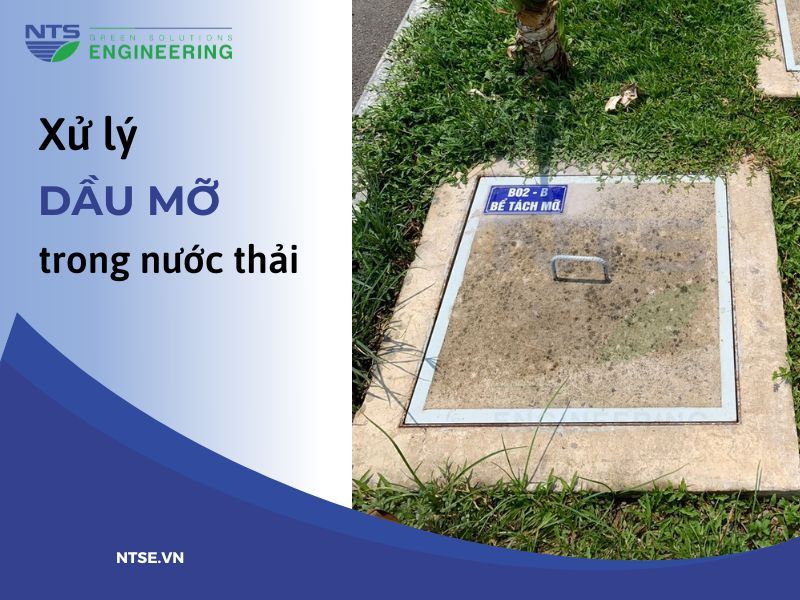 cach-xu-ly-dau-mo-trong-nuoc-thai