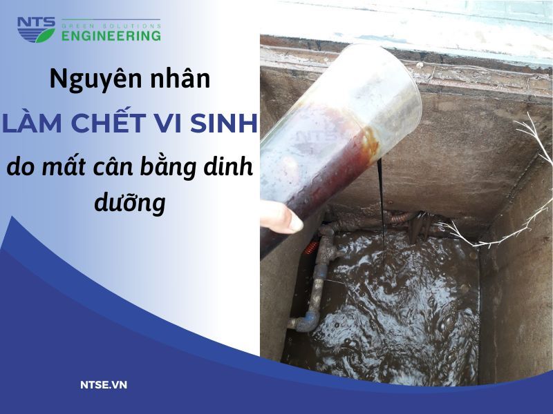 cham-bo-sung-mat-ri-duong-cho-he-thong-xu-ly-nuoc-thai