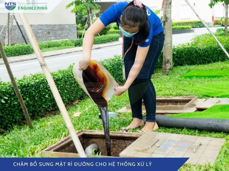 cham-bo-sung-mat-ri-duong-cho-he-thong-xu-ly-nuoc-thai