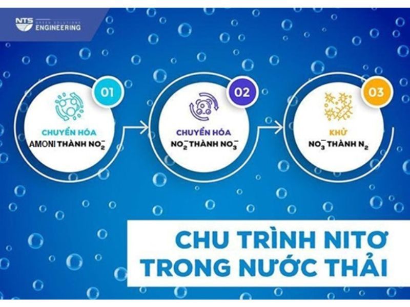 chu-trinh-nito-trong-xu-ly-nuoc-thai