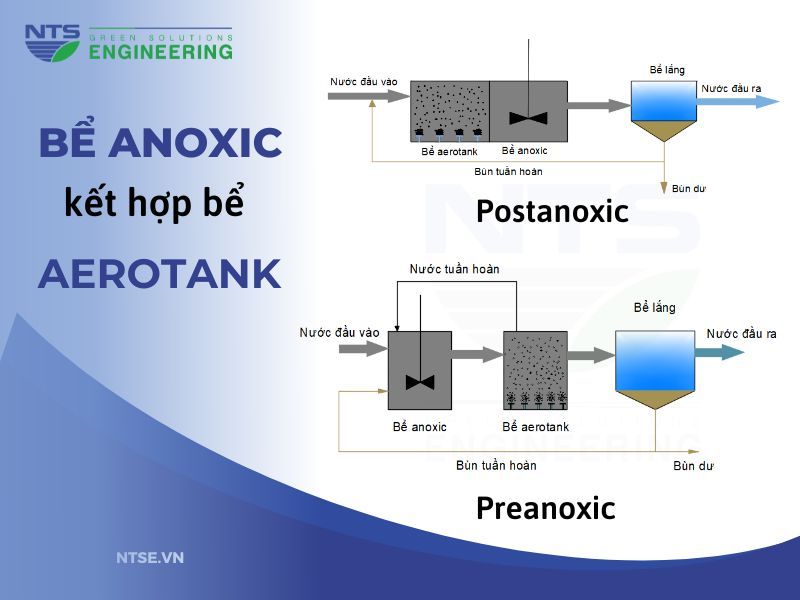 dong-tuan-hoan-anoxic