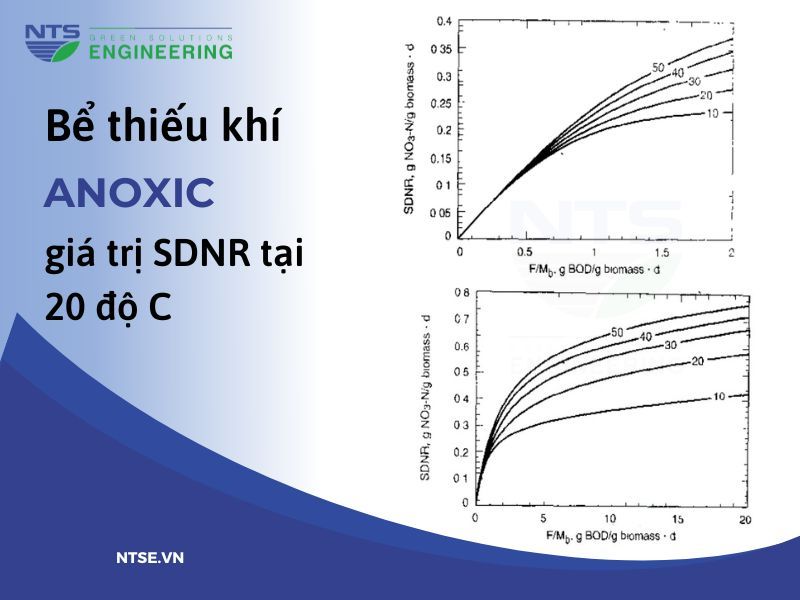 gia-tri-SDNR-tại-20-doC