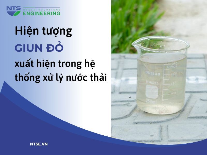 giun-do-trong-he-thong-xu-ly-nuoc-thai-4