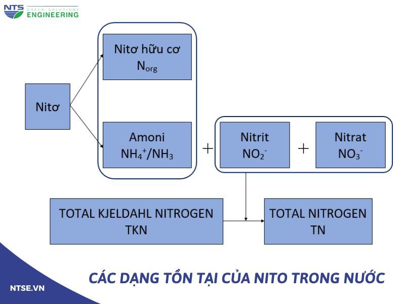 nito-trong-xu-ly-nuoc-thai