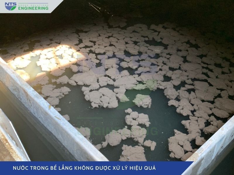 nuoc-trong-be-lang-khong-duoc-xu-ly-hieu-qua