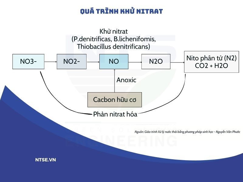 qua-trinh-khu-nitrate-xu-ly-nuoc-thai