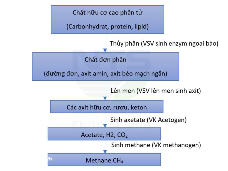 qua-trinh-sinh-hoc-trong-be-ky-khi