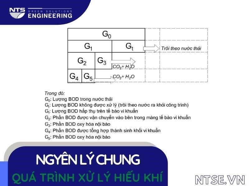 so-do-can-bang-BOD-xu-ly-hieu-khi