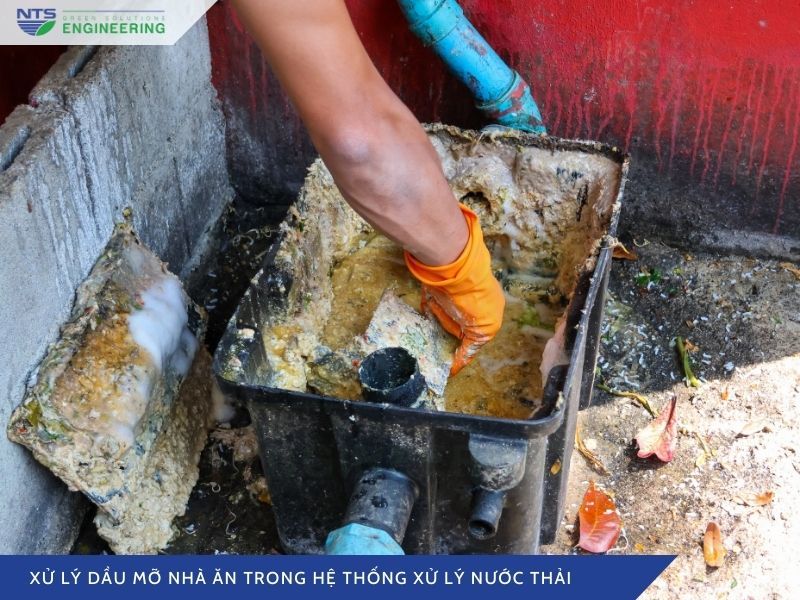 xu-ly-dau-mo-nha-an-trong-he-thong-xu-ly-nuoc-thai-1