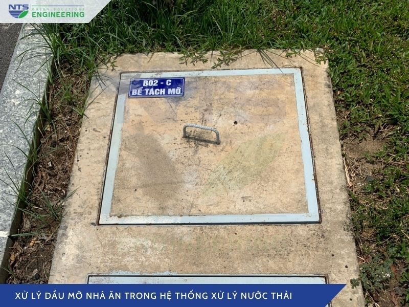 xu-ly-dau-mo-nha-an-trong-he-thong-xu-ly-nuoc-thai-2