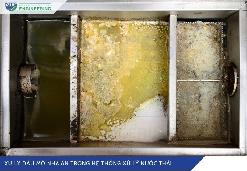xu-ly-dau-mo-nha-an-trong-he-thong-xu-ly-nuoc-thai