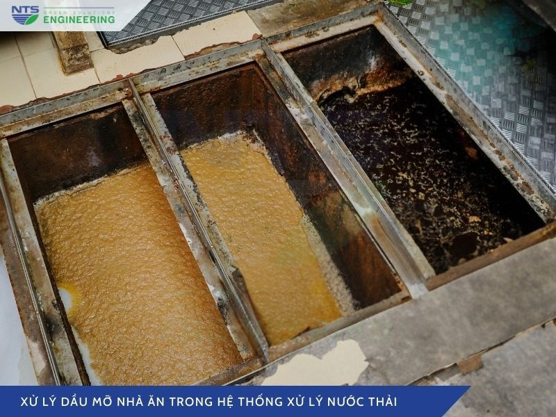 xu-ly-dau-mo-nha-an-trong-he-thong-xu-ly-nuoc-thai-4