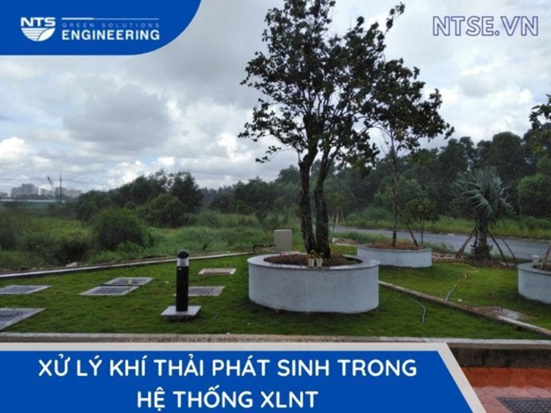 xu-ly-mui-trong-ht-Xlnt-2