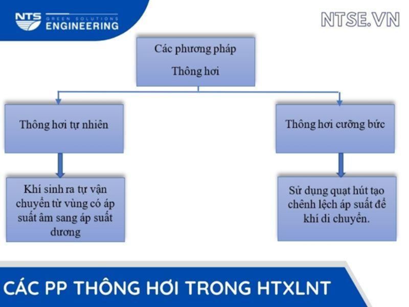 xu-ly-mui-trong-ht-xlnt-1