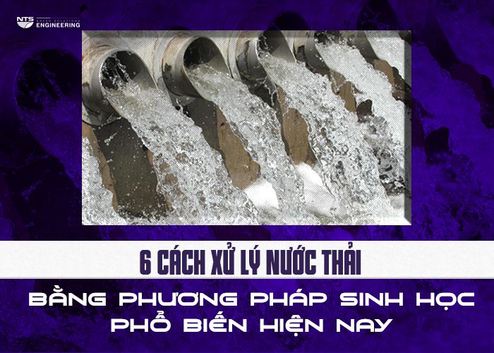 xu-ly-nuoc-thai-bang-phuong-phap-sinh-hoc-2