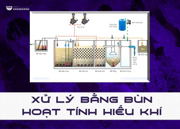 xu-ly-nuoc-thai-bang-phuong-phap-sinh-hoc-3