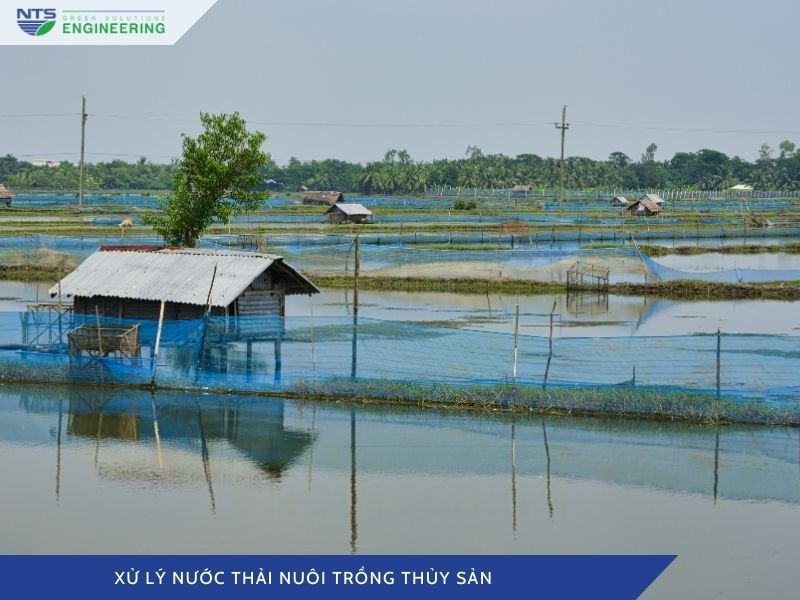 xu-ly-nuoc-thai-nuoi-trong-thuy-san-1