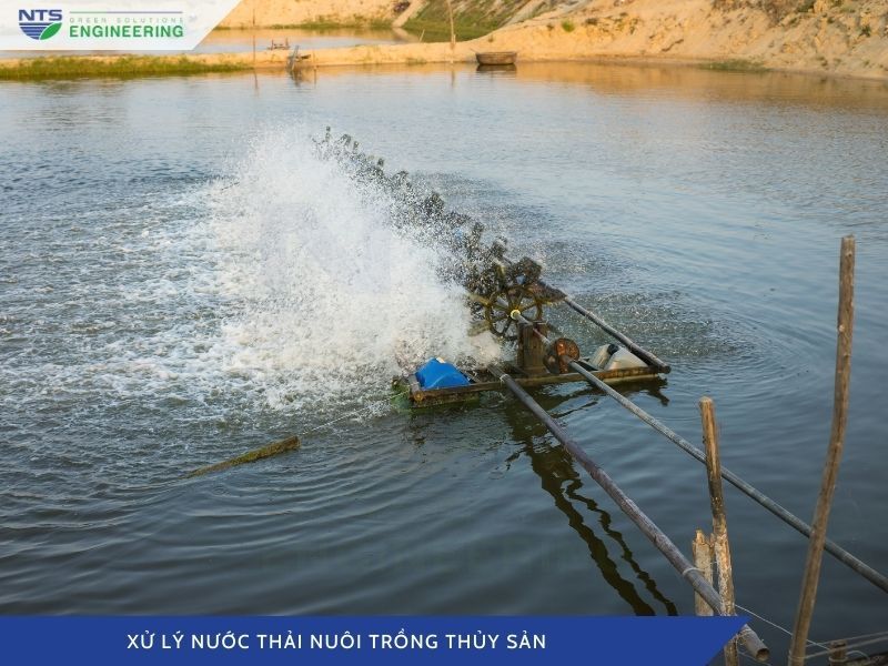 xu-ly-nuoc-thai-nuoi-trong-thuy-san